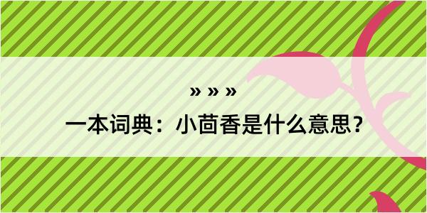 一本词典：小茴香是什么意思？