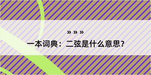 一本词典：二弦是什么意思？