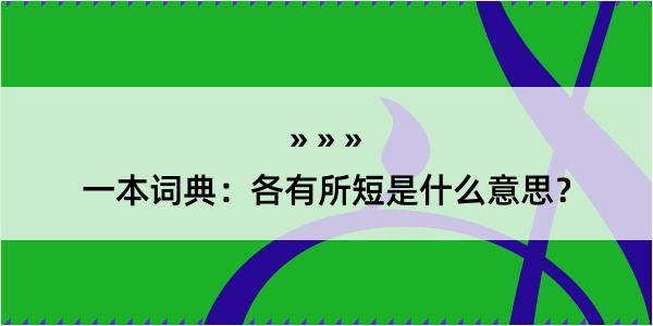 一本词典：各有所短是什么意思？