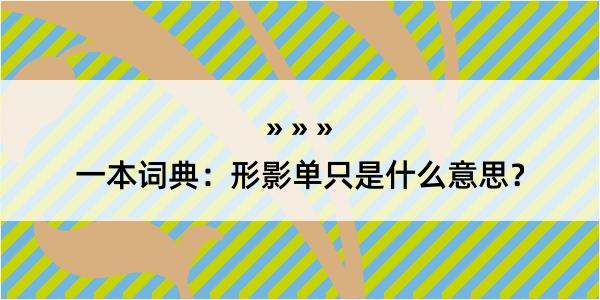 一本词典：形影单只是什么意思？