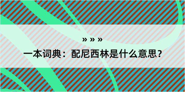 一本词典：配尼西林是什么意思？