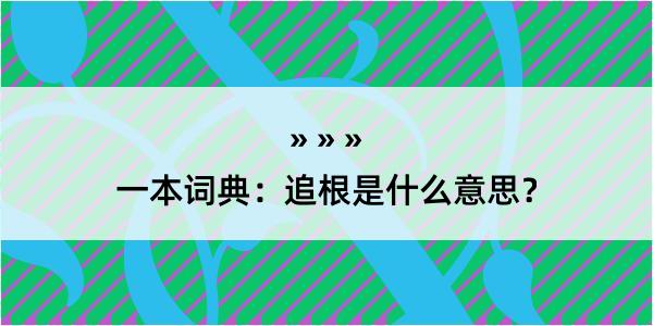 一本词典：追根是什么意思？