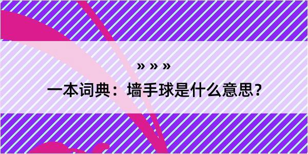 一本词典：墙手球是什么意思？