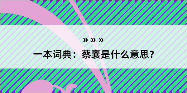 一本词典：蔡襄是什么意思？