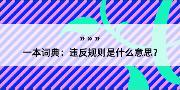 一本词典：违反规则是什么意思？