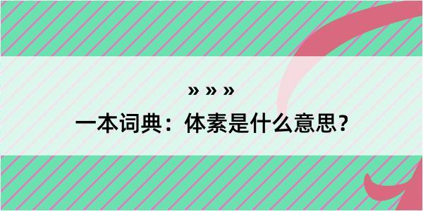 一本词典：体素是什么意思？