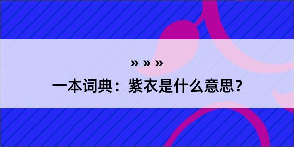 一本词典：紫衣是什么意思？