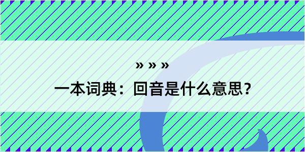 一本词典：回音是什么意思？