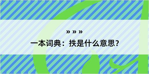 一本词典：抶是什么意思？