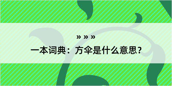 一本词典：方伞是什么意思？