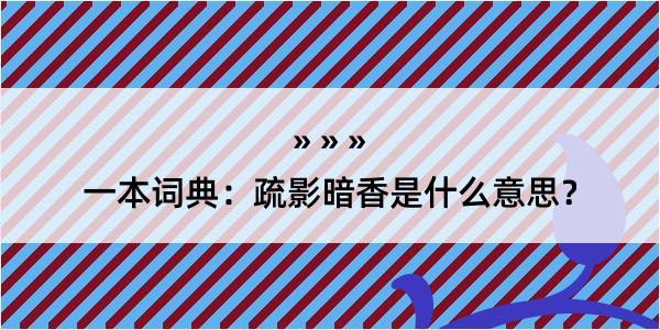 一本词典：疏影暗香是什么意思？