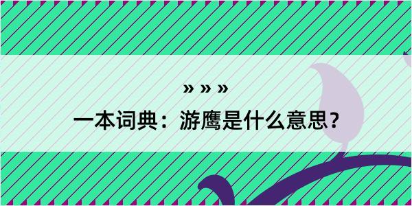 一本词典：游鹰是什么意思？