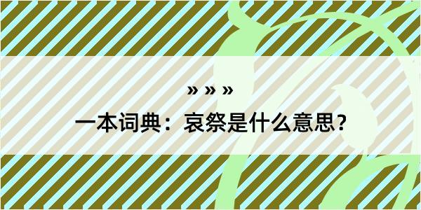 一本词典：哀祭是什么意思？