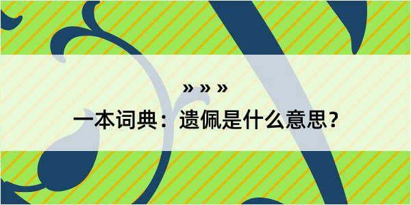 一本词典：遗佩是什么意思？