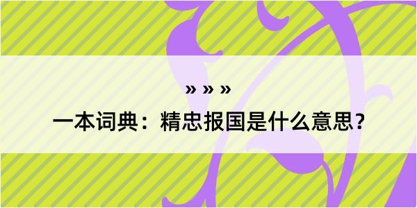 一本词典：精忠报国是什么意思？