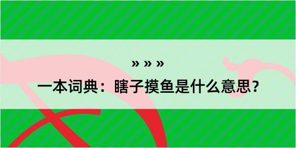 一本词典：瞎子摸鱼是什么意思？