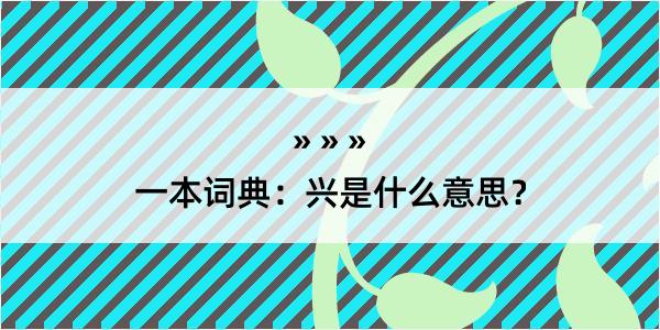 一本词典：兴是什么意思？