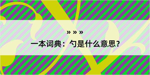 一本词典：勺是什么意思？