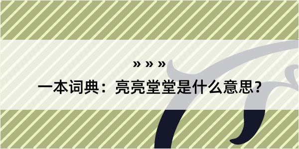 一本词典：亮亮堂堂是什么意思？