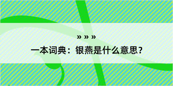 一本词典：银燕是什么意思？