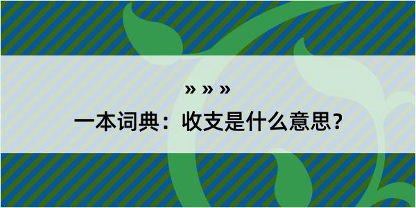 一本词典：收支是什么意思？