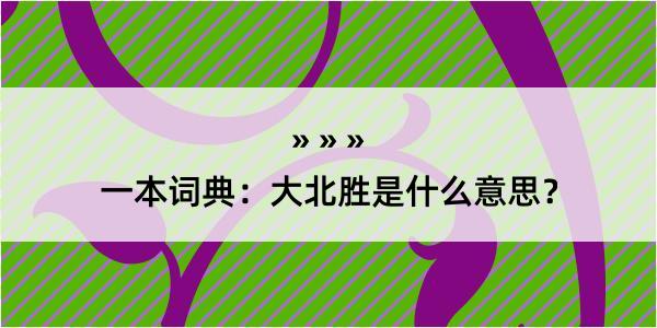 一本词典：大北胜是什么意思？