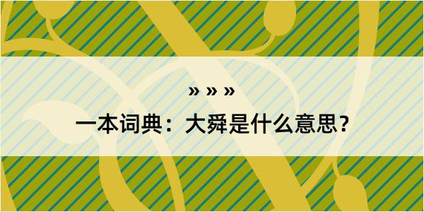 一本词典：大舜是什么意思？