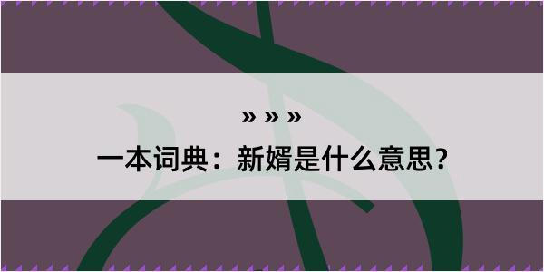 一本词典：新婿是什么意思？