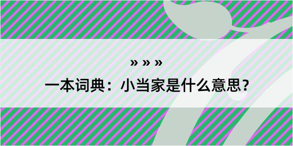 一本词典：小当家是什么意思？