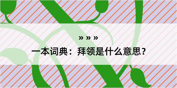 一本词典：拜领是什么意思？