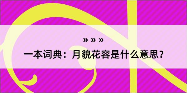 一本词典：月貌花容是什么意思？