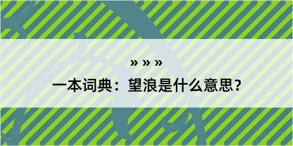 一本词典：望浪是什么意思？