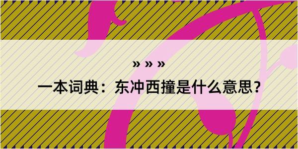 一本词典：东冲西撞是什么意思？