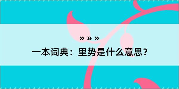 一本词典：里势是什么意思？