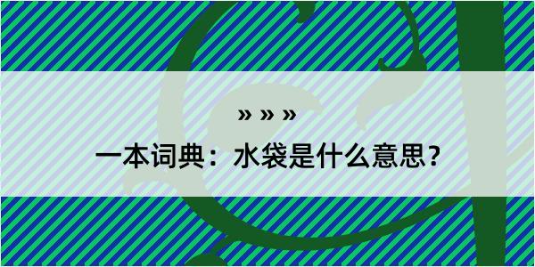 一本词典：水袋是什么意思？