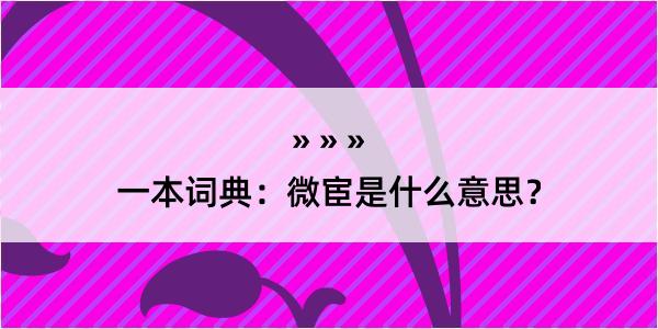 一本词典：微宦是什么意思？