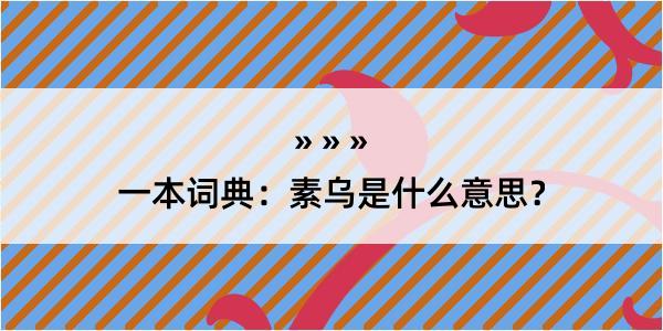 一本词典：素乌是什么意思？