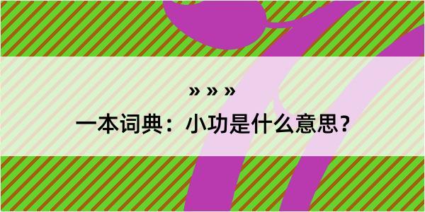 一本词典：小功是什么意思？