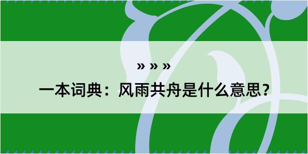 一本词典：风雨共舟是什么意思？