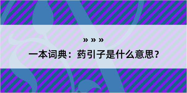 一本词典：药引子是什么意思？