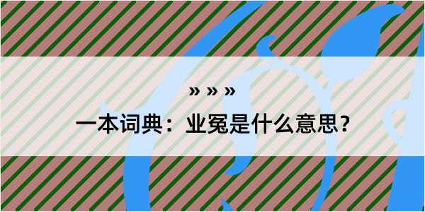 一本词典：业冤是什么意思？