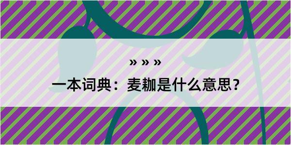 一本词典：麦耞是什么意思？