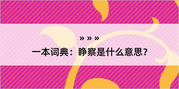 一本词典：睁察是什么意思？