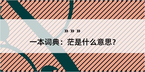 一本词典：茫是什么意思？