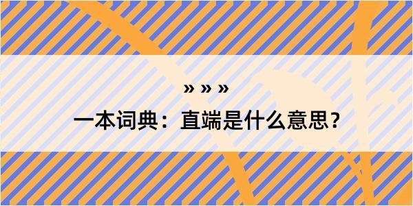 一本词典：直端是什么意思？