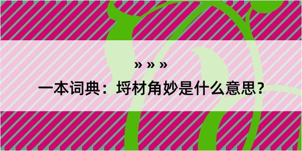 一本词典：埒材角妙是什么意思？