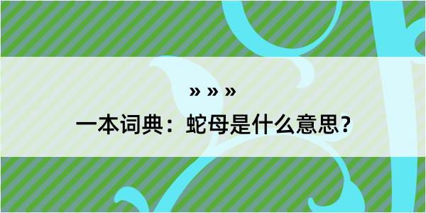 一本词典：蛇母是什么意思？