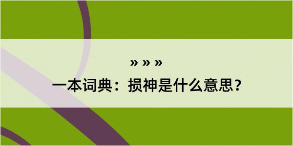 一本词典：损神是什么意思？