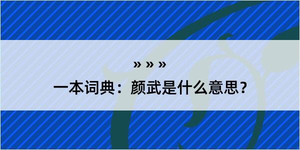 一本词典：颜武是什么意思？