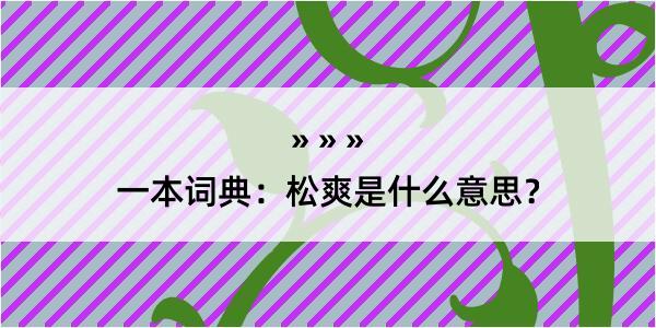 一本词典：松爽是什么意思？